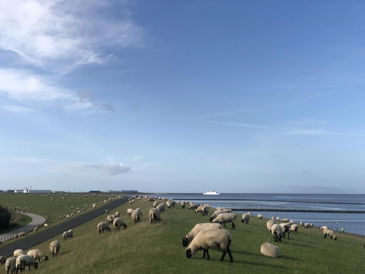 Wind Und Meer - Traumhaft An Der Nordsee Norddeich  Dış mekan fotoğraf